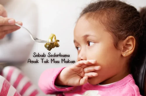Sebab Sederhana Mengapa Anak Susah Makan