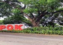 pendirian pabrik limbah ranting