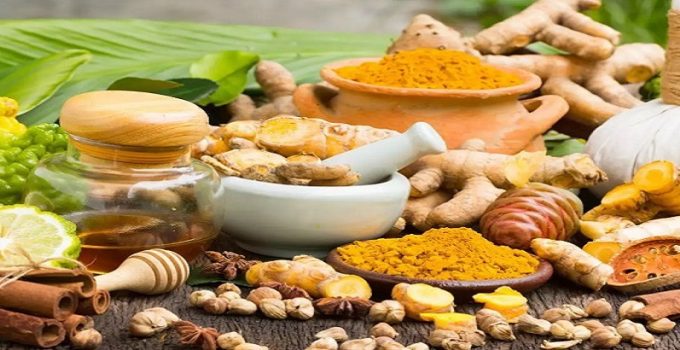 pola makan sehat masdoni