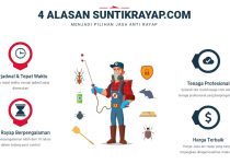 solusi agar rumah bebas rayap